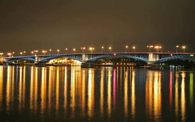 Mainz Private Guided Walking Tour