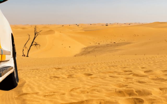 Marrakech: 6-Day Desert Trek Classic Tour.