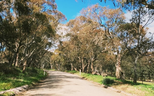 The Village Trail