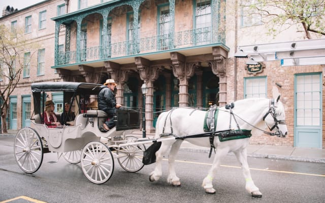 Private Daytime Horse-Drawn Carriage Tour of Charleston