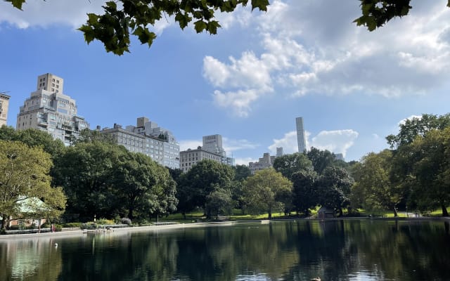 Central Park Walking Tour with Local Guide