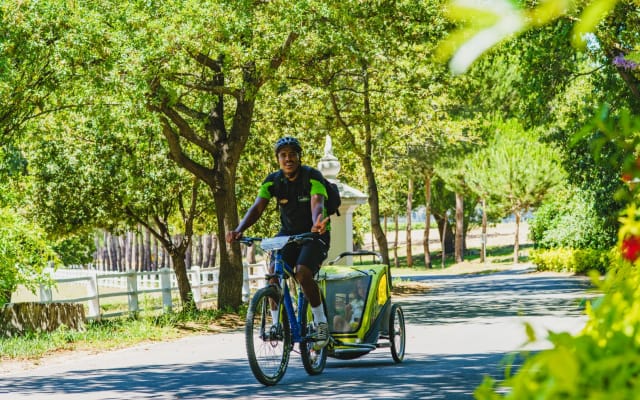 Stellenbosch Winelands Family Cycle Tour