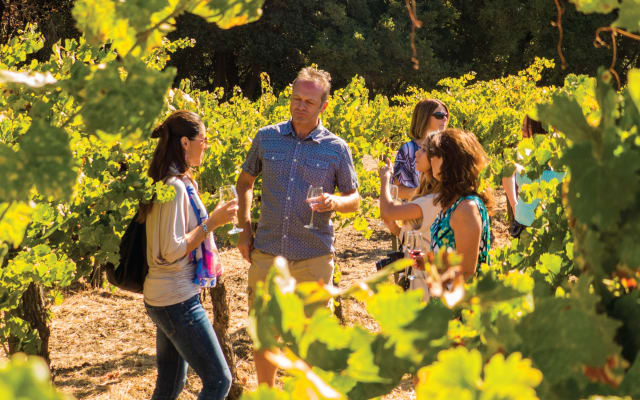 Half Day Wine Country Tour