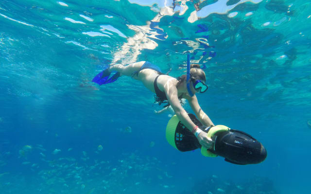  Cabo Snorkel & Land's End Arch