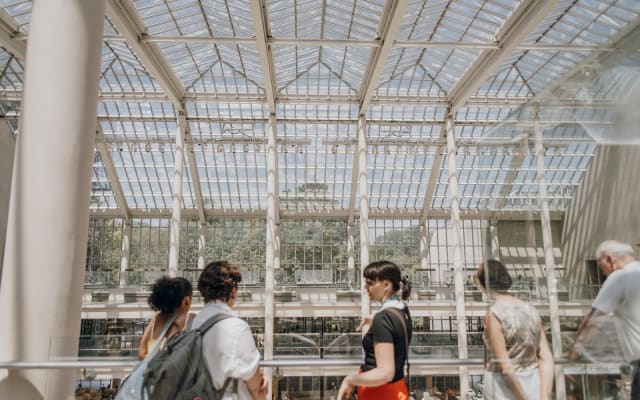 Private Met Express: Highlights of the Metropolitan Museum of Art 