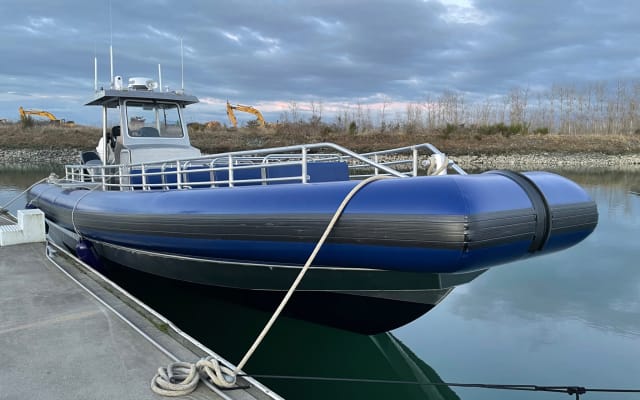 Whale and Wildlife Adventure - Zodiac Boat