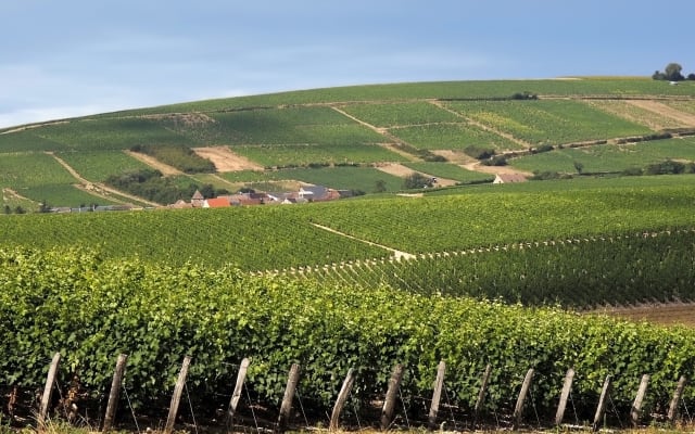 Vouvray Wine Tour Half-Day from Tours