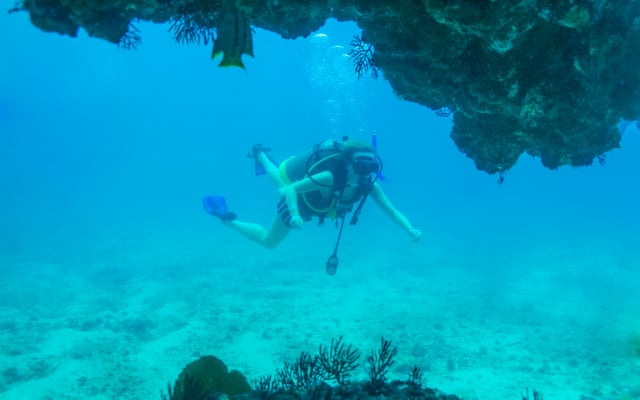  Scuba Dive at Marietas Islands