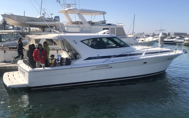 Party Boat Hire Melbourne