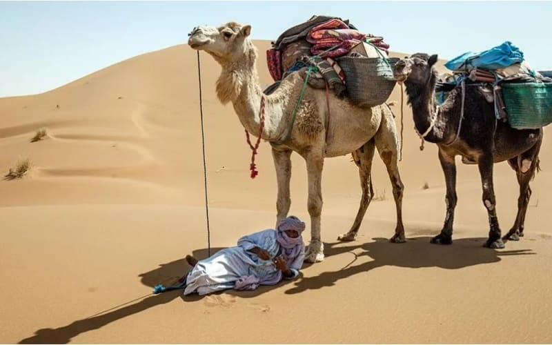 10 Days Morocco tour from Casablanca - main image