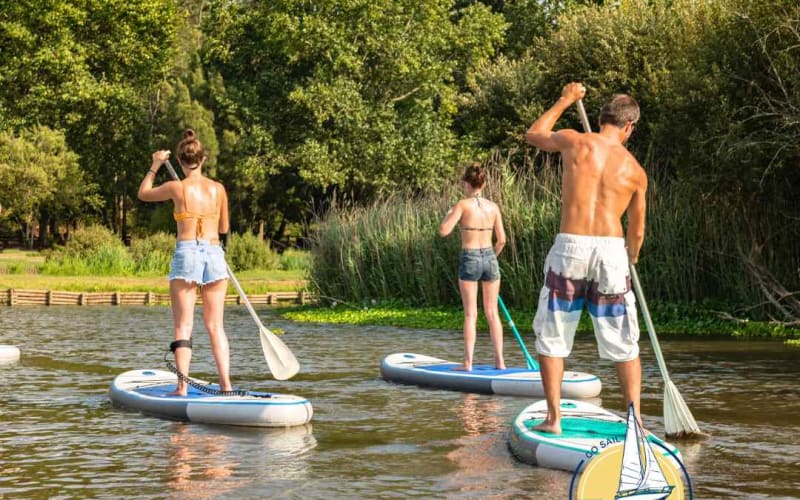 Stand Up Paddle Board To Wild Horse Island - main image