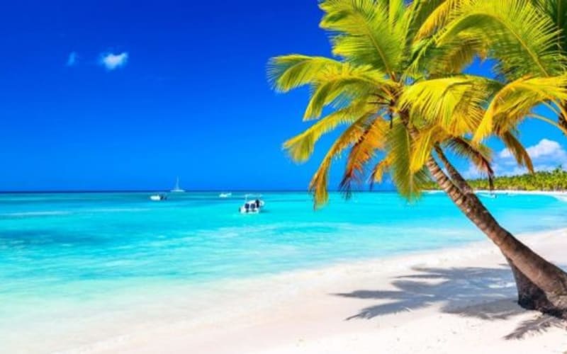 Punta Cana: Boat Tour to Isla Saona, Open Bar & Buffet Lunch - main image