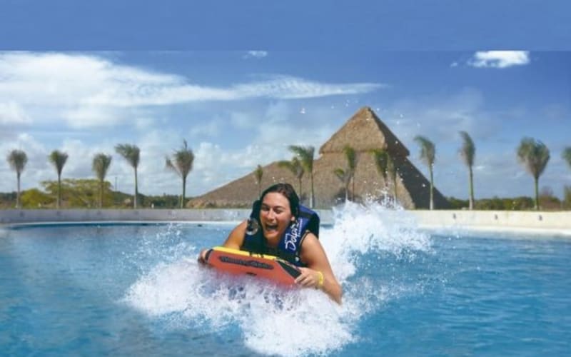 Punta Cana: Swim with Dolphins in the Pool - main image