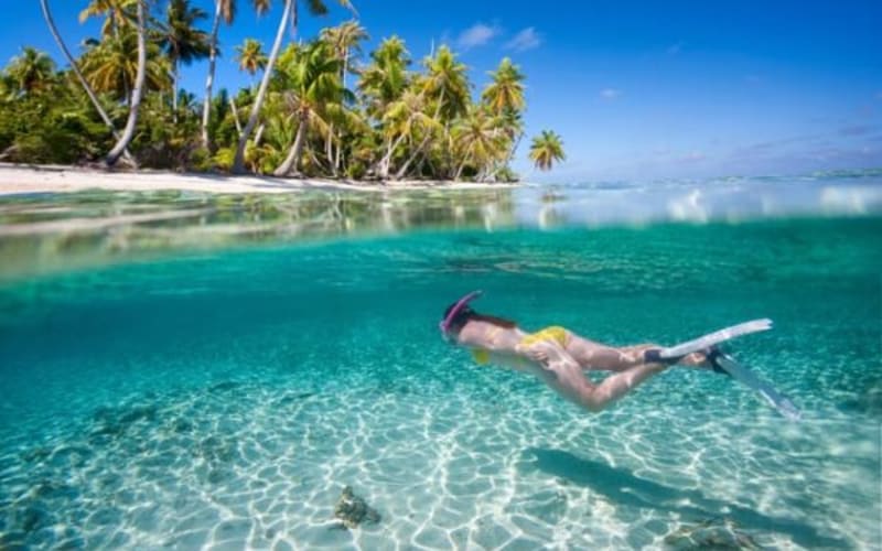 From Punta Cana: Isla Saona Full-Day Tour with Buffet Lunch - main image