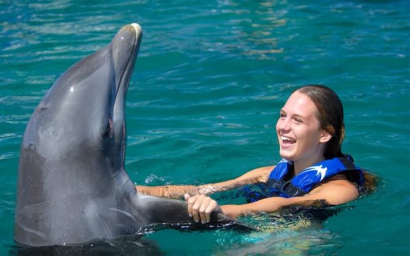 Punta Cana: Nuoto e Interazioni con i Delfini Explorer - main image