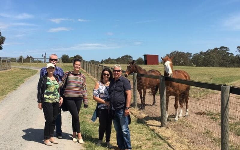 Living Legends Racehorse Tour – Half-Day from Melbourne - main image