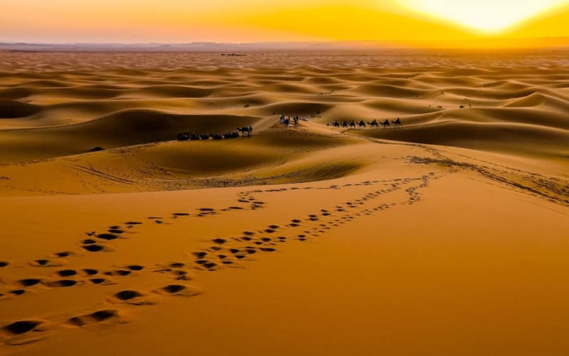 4 Day desert Tour from Marrakech - main image