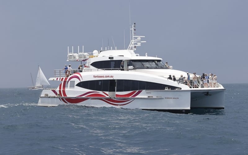 Whale Watching – 2hr Express Cruise from Circular Quay - main image
