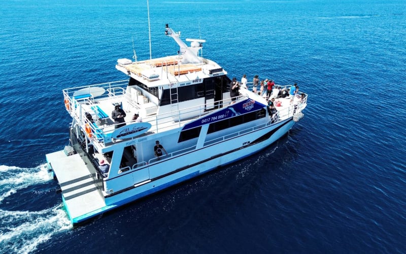 Busselton Whale Watching Cruise Adventure - main image