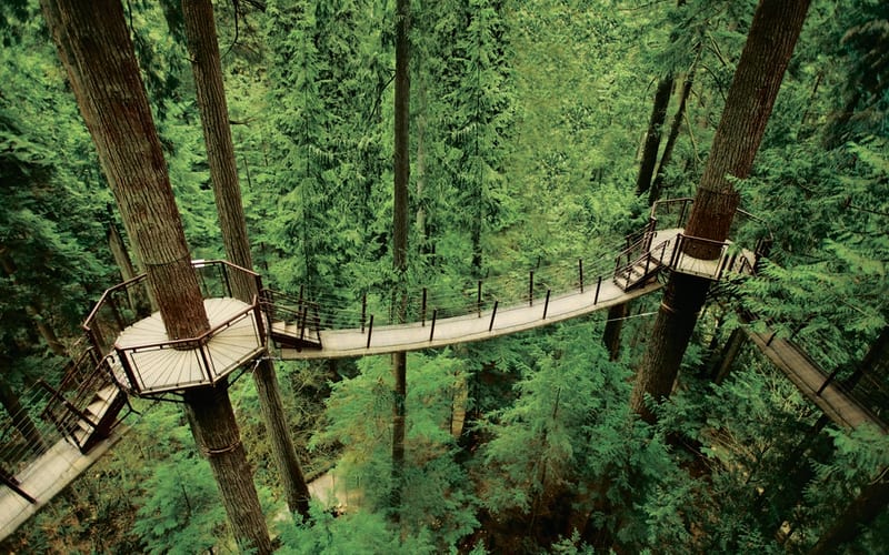 Vancouver City + Capilano Suspension Bridge Tour - main image