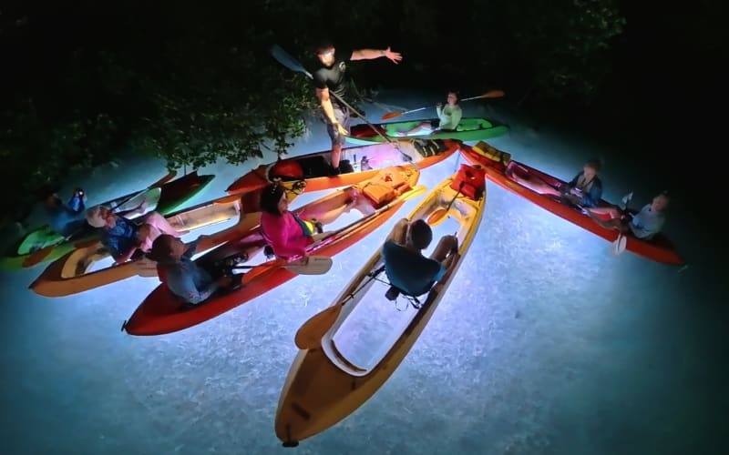 Night Kayak Guided Eco Tour - main image