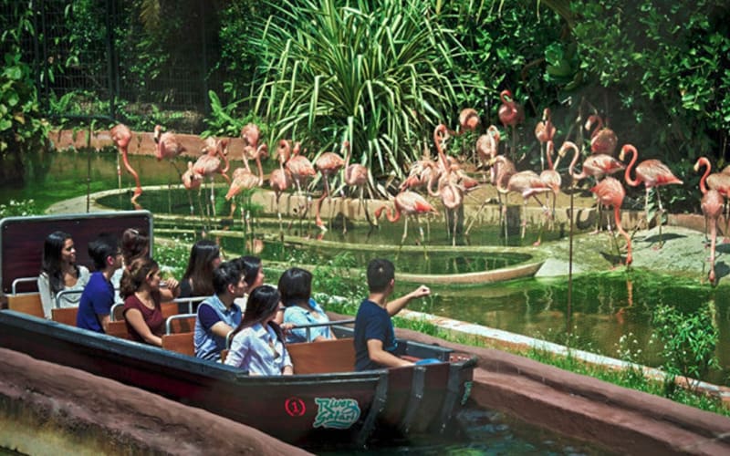 Safari world Bangkok - main image