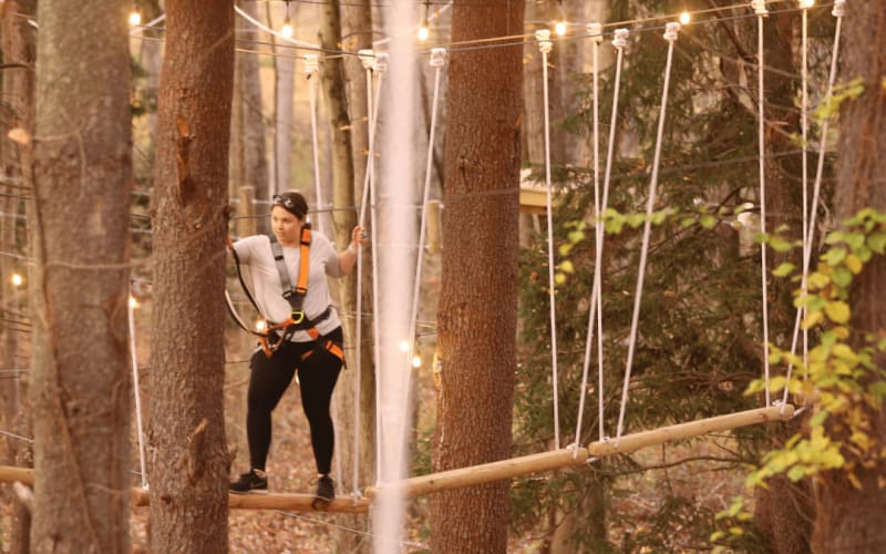 Tree Trails Adventure Park, Trevose, Philadelphia - main image