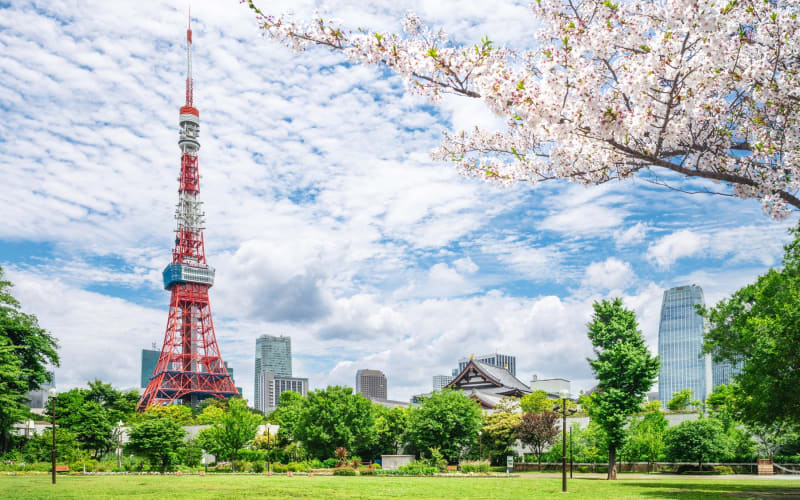 Best of Tokyo Full Day Walking Tour – Small Group - main image