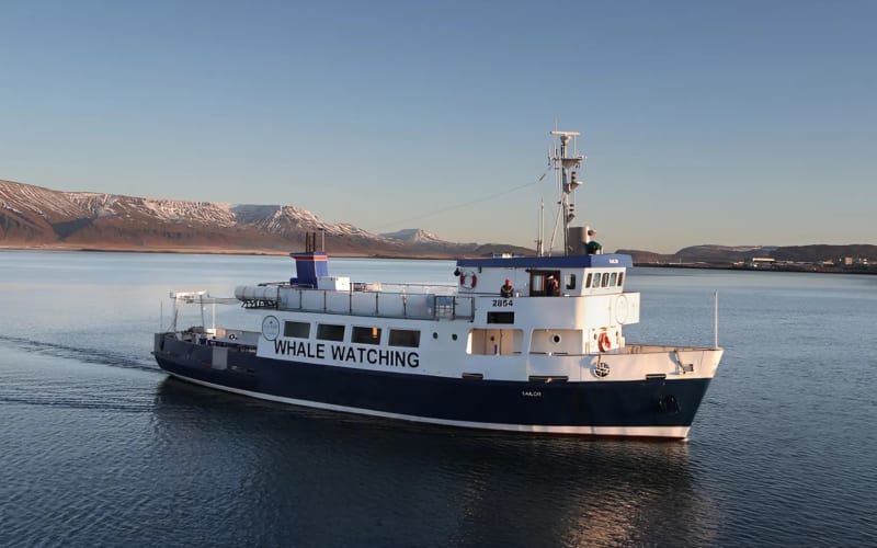 New Years Fireworks by Boat from Reykjavik - main image