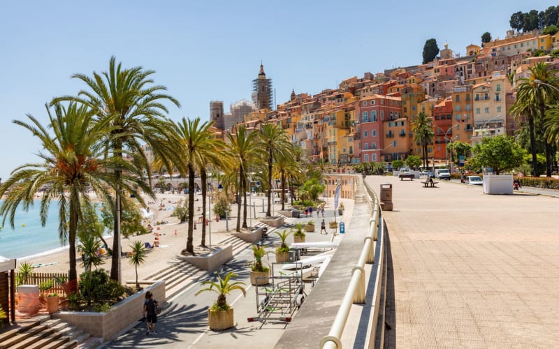 Palm-lined seafront promenade with colourful buildings in Le Suquet, Cannes, France.
