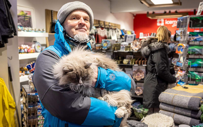 Reykjavik Cat Lovers Walk & Puffin Cruise - main image