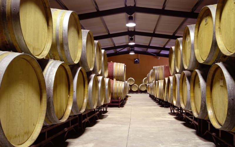 Visite privée de la Vallée du Douro (tout compris) - main image