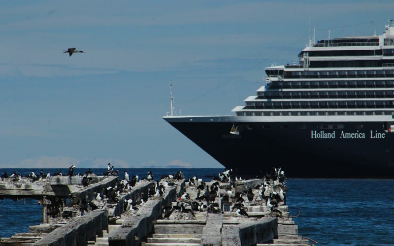 Pioneers and Palacios City Tour in Punta Arenas - main image