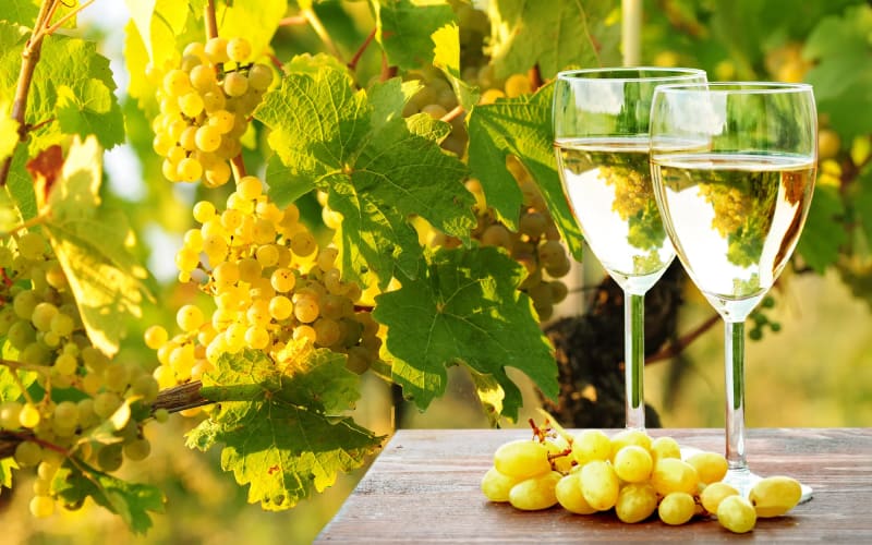 The Cycle of the Cretan Grape - main image
