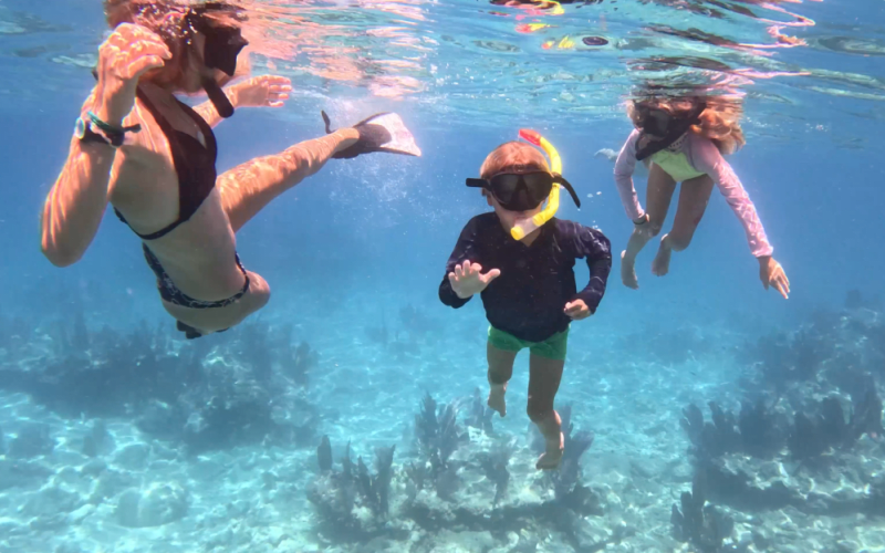 Eco-Friendly Key West Water Adventure Tours Kayak & Dolphin - main image