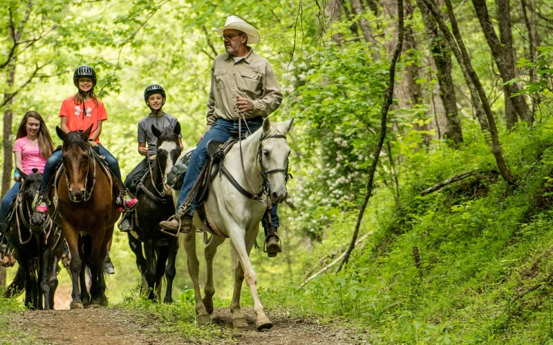 Horseback Trail Ride in Sevierville - main image
