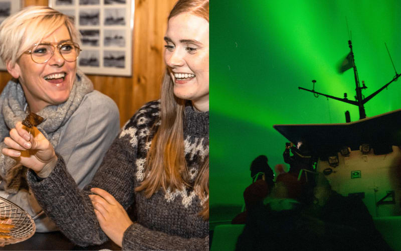 Reykjavik Food Walk & Northern Lights Boat Tour - main image