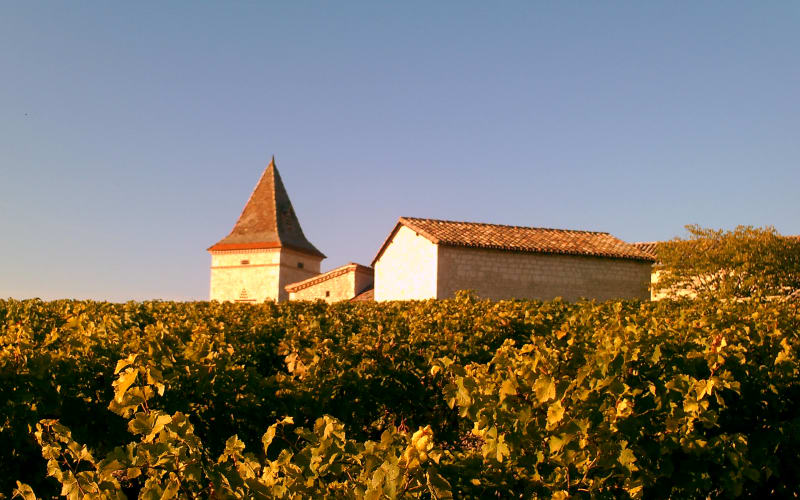 Vineyards and traditional wine estate in the Gaillac wine region, France