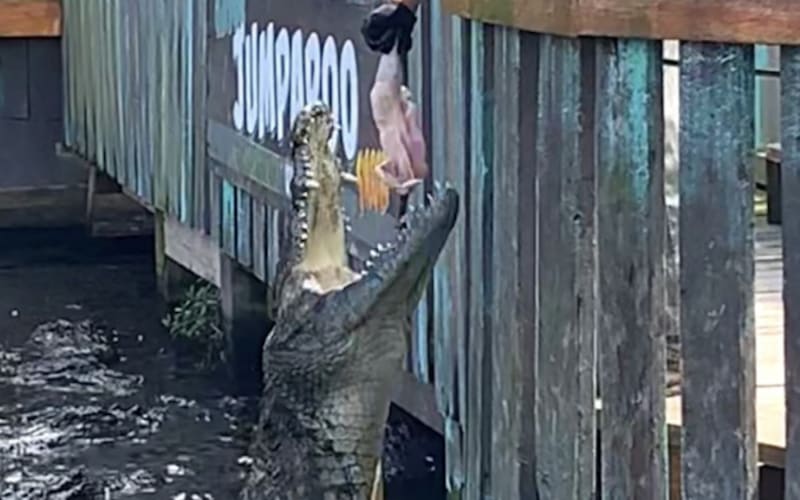 Gatorland Admission Ticket - main image