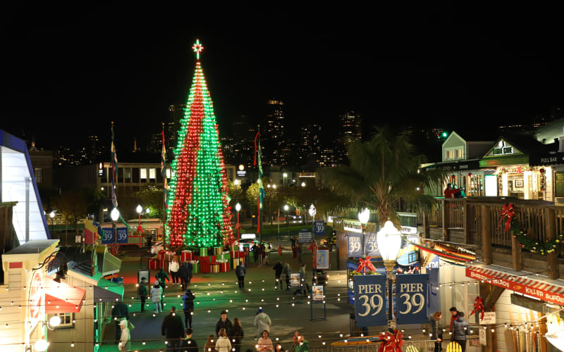 San Francisco: Holiday Lights Night Tour - main image