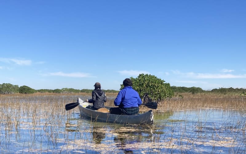 Guided Canoe Tour of Nine Mile Pond in Everglades National Park - main image