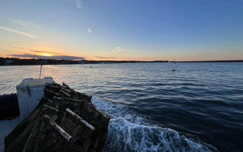 Sunset Bump 'N Brine Oyster Farm Tour - main image