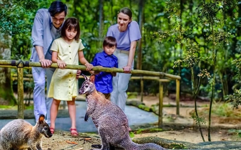 Singapore Night Safari Adventure - main image