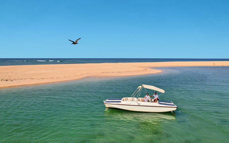 Faro Boat Trip - Birdwatching in Ria Formosa - main image