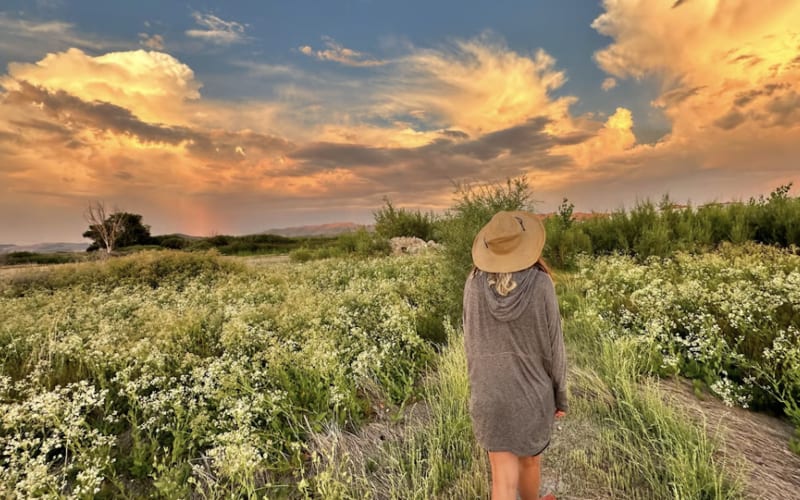 Wild Lines: Hikes for Creative Minds with Helena near Tahoe - main image