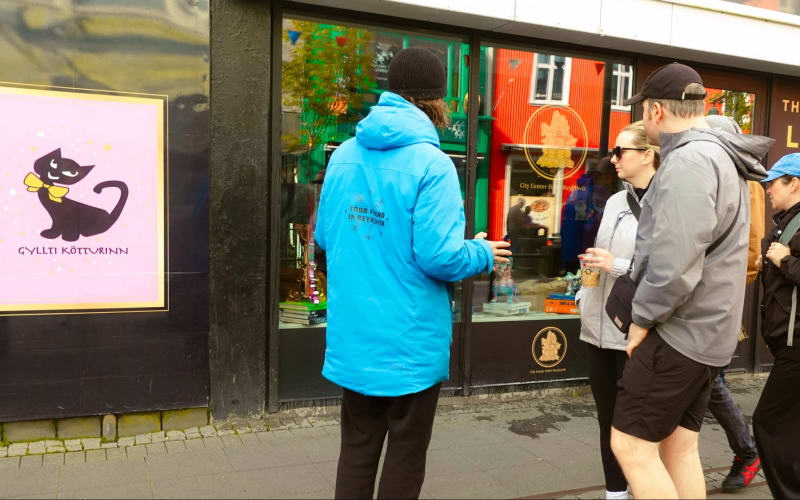 The Reykjavik Cat Walking Tour - main image
