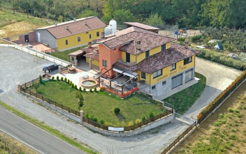 Truffle Hunting Experience at La Montefeltro Reserve - main image