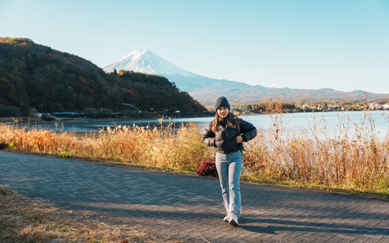Mount Fuji & Lake Kawaguchi Small Group Day Tour from Tokyo - main image