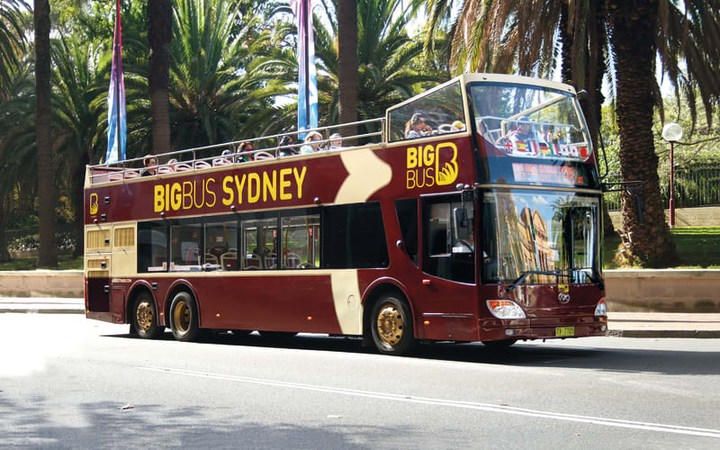 Sydney Essential: 48hr Hop-On Hop-Off Sightseeing Bus Tour - main image