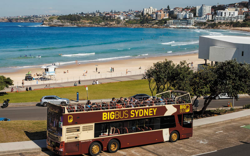 Sydney Explore: 48hr Hop-On Hop-Off Bus Tour & Harbour Cruise & Night Tour  - main image